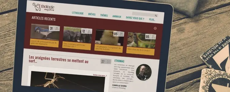 Ethomag - vue desktop