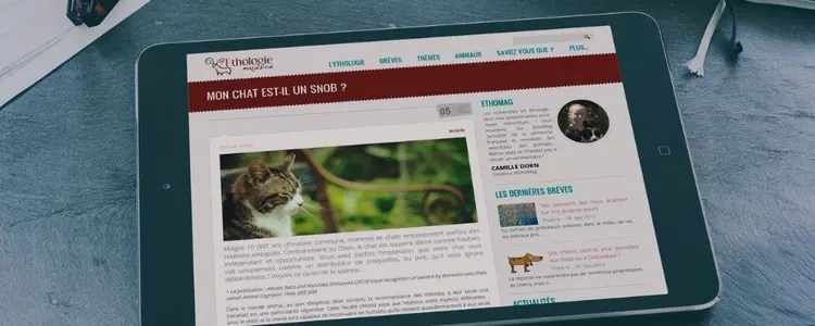 Ethomag - vue tablette